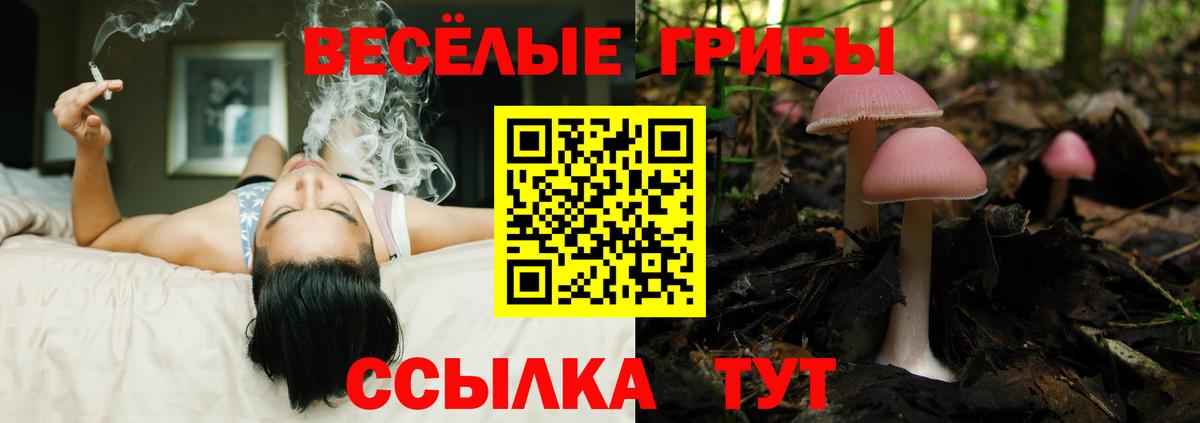 Псилоцибиновые грибы мицелий Ухта