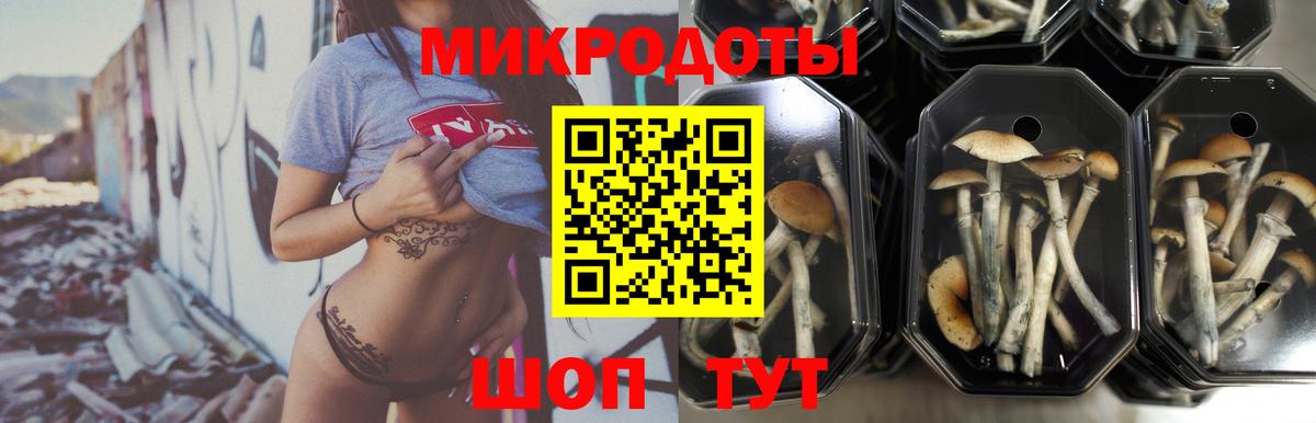 Псилоцибиновые грибы GOLDEN TEACHER  Вход с VPN  Ухта 